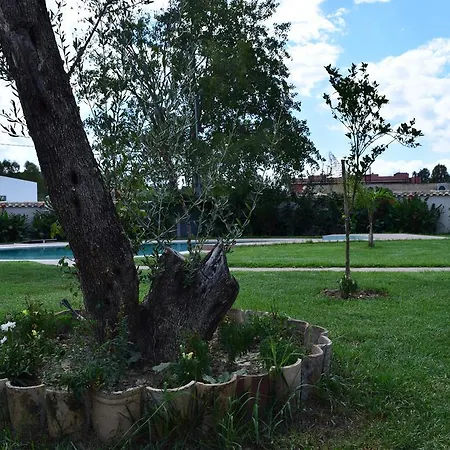 Three Stars Luxury Villa